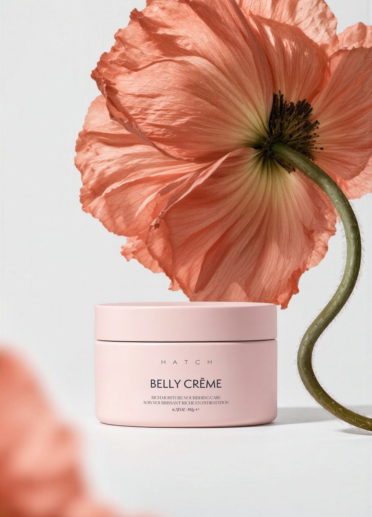 Soft pink round jar of Belly Crème for maternity skincare with a minimalist label and black text.